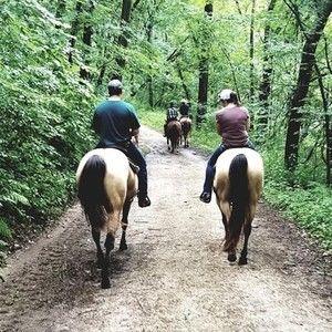 Meet your Posher, Cassidy